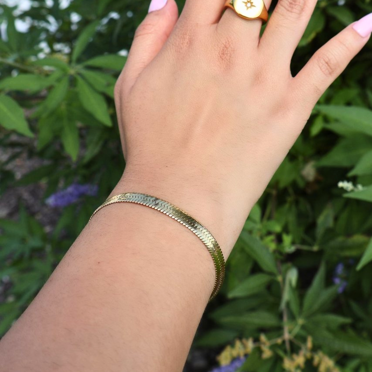 Snake Chain Gift Set