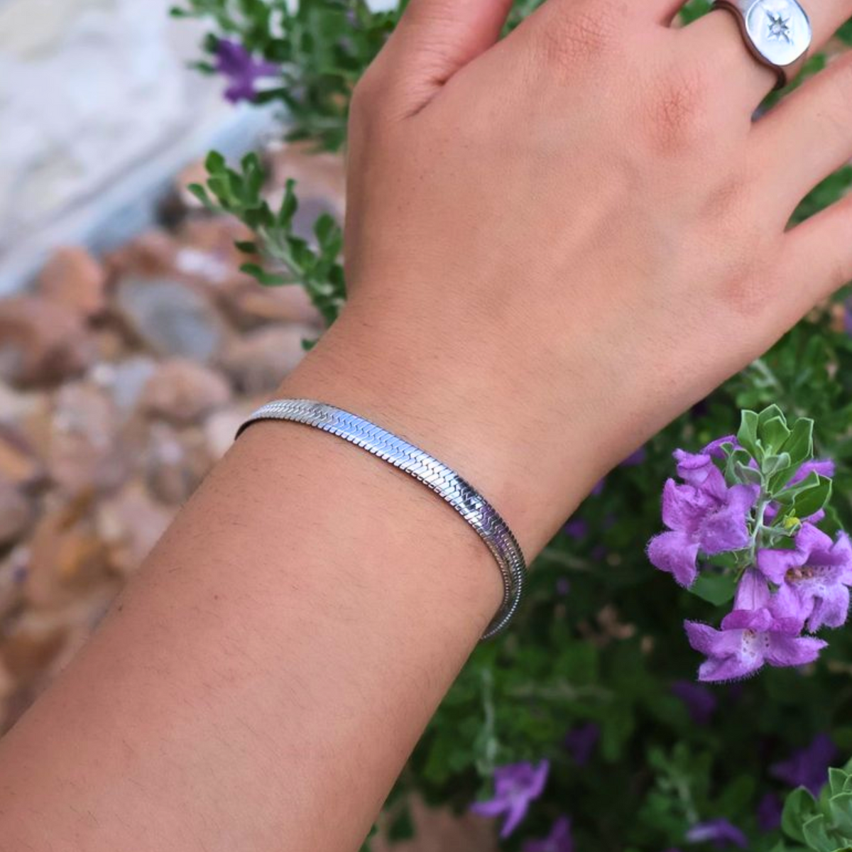 Snake Chain Gift Set